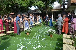 Plantas: imagem 5 de 15